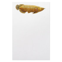 Arowana Tropical Fish Stationery by tpccards Arowana Tropical Fish Stationery