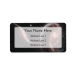 Arp 273 Galaxy Pair (Hubble Telescope) Personalized Address Label