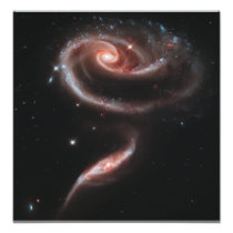 Arp 273 Galaxy Pair (Hubble Telescope) Photo Print