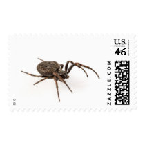 Arrac Attack Stamp