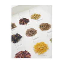 Arranged herbs post cards