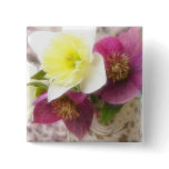 Arrangement - Daffodils And Hellebores buttons