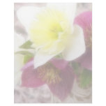 Arrangement - Daffodils And Hellebores Customized Letterhead