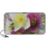 Arrangement - Daffodils And Hellebores Travel Speaker
