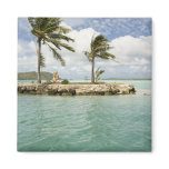 Arrival at airport in Bora Bora, Society Magnets