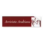 Arriviste Arabian Bumper Sticker
