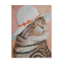 arrogant  cat post card