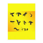 arrow-vectors-10040502-large post card