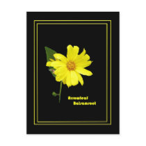 Arrowleaf Balsamroot postcards