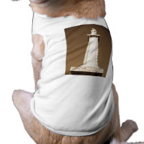 Arsenal monument at the Congressional Cemetery pet clothing