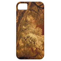 ART BY: AUGLE, casemate cases