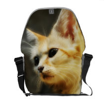 ART BY: STEVE AUGLE, messenger bags