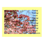 Art Caring Healing Touch Hands Word Prints Framed