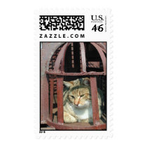 Art cat postage