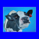 art cow nosey fresian postcards