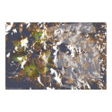 Art design print "Photographers Passion"