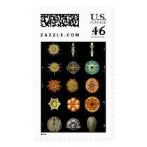 Art Forms in Nature postage