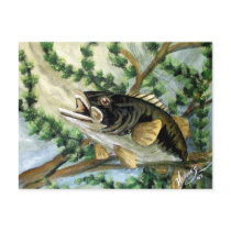 Art Largemouth Bass postcards