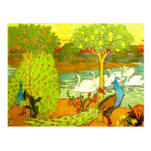 Art Nouveau Peacocks and Swans Postcards
