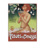 Art Nouveau Postcard - Fleurs de Mousse