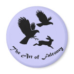 Art of Falconry - Harris Hawks Refrigerator Magnet