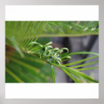 Art of nature print