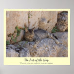 Art of the Nap posters
