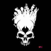 Art On The Skull-White posters