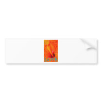 art - orange_hibiscus bumper sticker