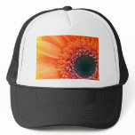 Art photo flower Rainbow Hats