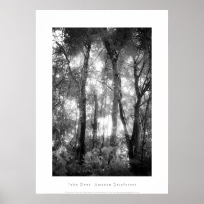 Art Poster: Amazon Rainforest. Black and White by johndyerphotography