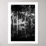 Art Poster: Amazon Rainforest. Rio Negro