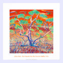 Art Poster: Banrock Station Sunset Mallee Tree posters