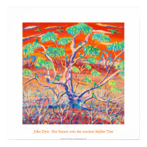 Art Poster: Banrock Station Sunset Mallee Tree posters by johndyergallery Art Poster: Banrock Station Sunset Mallee Tree posters