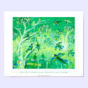 Art Poster: Emerald Parrots, Banrock Station posters