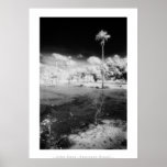 Art Poster: Tropical Wetlands, Pantanal Brazil.