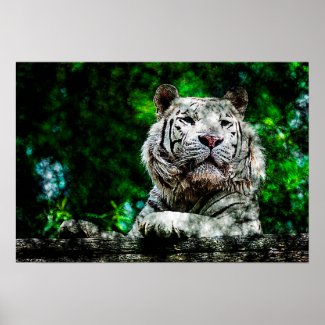 Art - Poster White Tiger Mixed Media