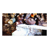 Art Print Barn Logs Mexico photo cards by Catwing Art Print Barn Logs Mexico photo cards
