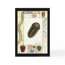 Art Print Greeting Card - Trilobita