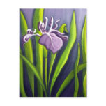Art Purple Iris Postcards