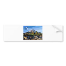 art-river bumper sticker