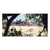 Art Scene Field Mexico photo cards by Catwing Art Scene Field Mexico photo cards