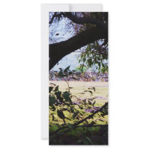Art Scene Field Mexico rack cards by Catwing Art Scene Field Mexico rack cards