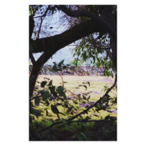 Art Scene Field Mexico stationery