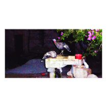 Art Scene Mexico photo cards by Catwing Art Scene Mexico photo cards