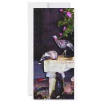 Art Scene Mexico rack cards by Catwing Art Scene Mexico rack cards