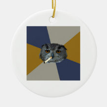 Art Student Owl Advice Animal Meme Ornaments