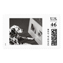 Art Student postage
