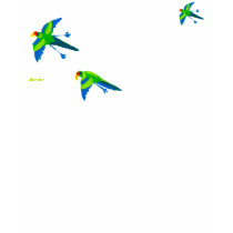 Art T-Shirt: Australian Emerald Parrots. by johndyergallery Art T-Shirt: Australian Emerald Parrots.