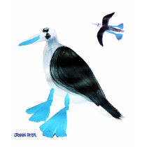 Art T-Shirt: Blue Footed Boobies. Kids by johndyergallery Art T-Shirt: Blue Footed Boobies. Kids